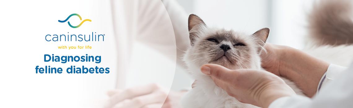 Diagnosis Management Banner