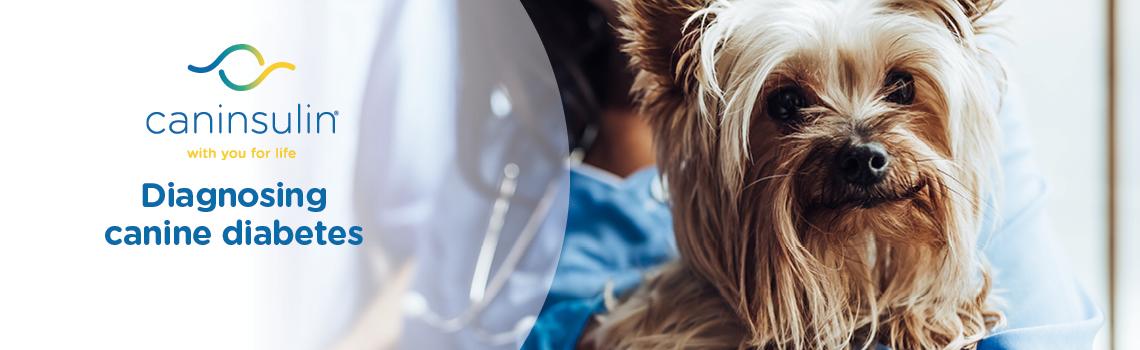 Dibaetes Diagnosis Management 