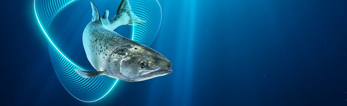 Aquavac Salmon with Trimark