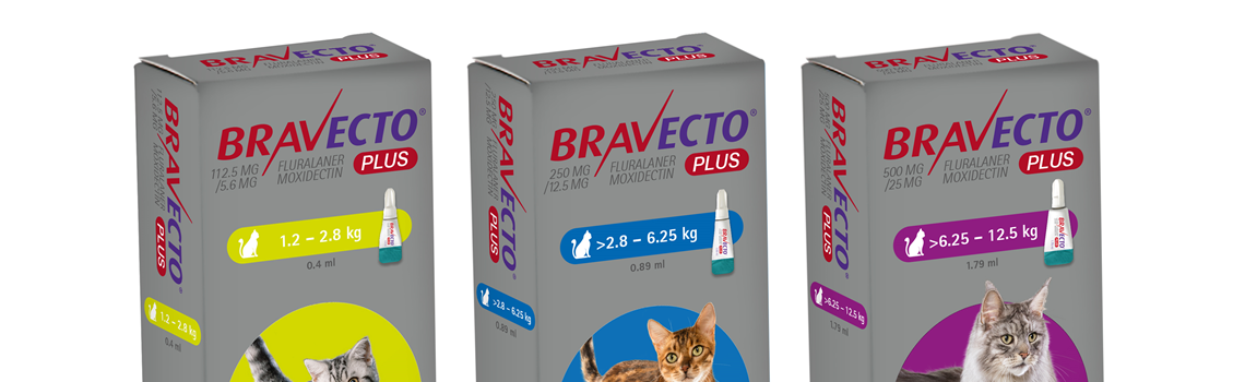 Bravecto Plus Spot on Solution for Cats