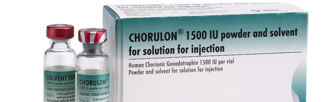 Image of Chorulon and solvent bottles next to the cardboard carton