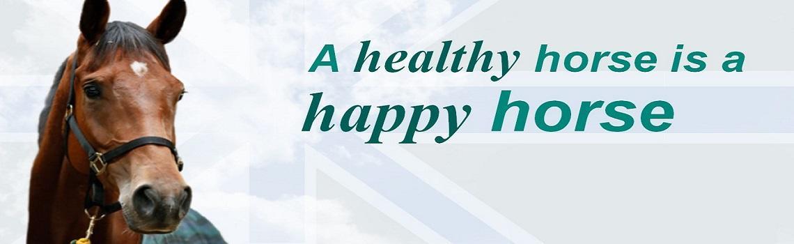 Keeping Britain's Horses Healthy imagery