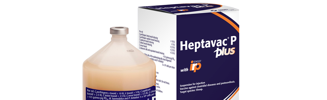 MSD Animal Health Hub: Heptavac® P PLUS