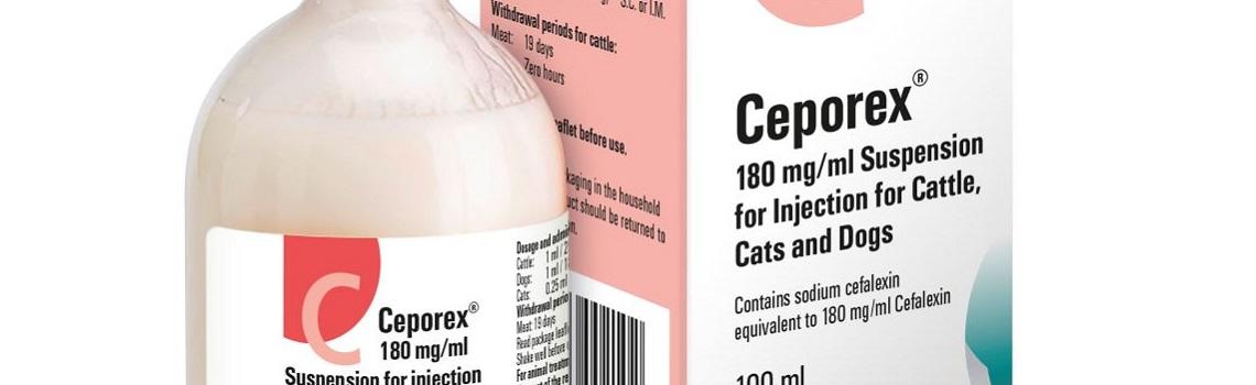 Image of Ceporex bottle next to it's cardboard carton