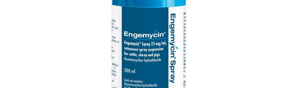 Image of  Engemycin Spray aerosol can, zoomed to show product name