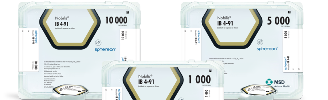 Zoomed in image of Nobilis IB 4-91 aluminuim cup next to cardboard carton