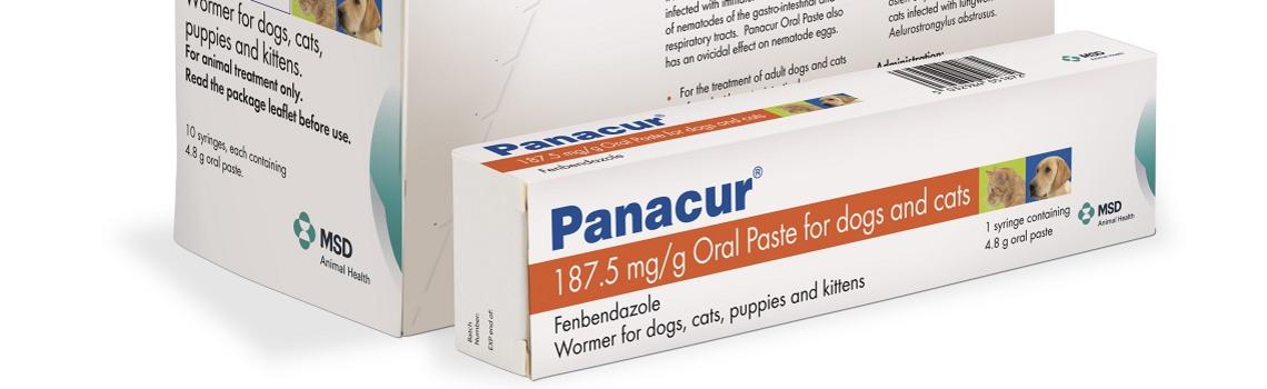Image showing Panacur® 18.75 % Oral Paste packaging