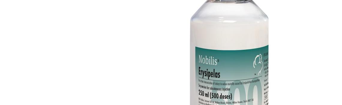 image of Nobilis Erysipelas bottle next to it's cardboard carton