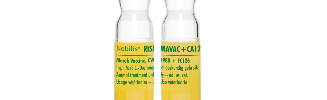 Nobilis® Rismavac +CA126 vials from MSD Animal Health