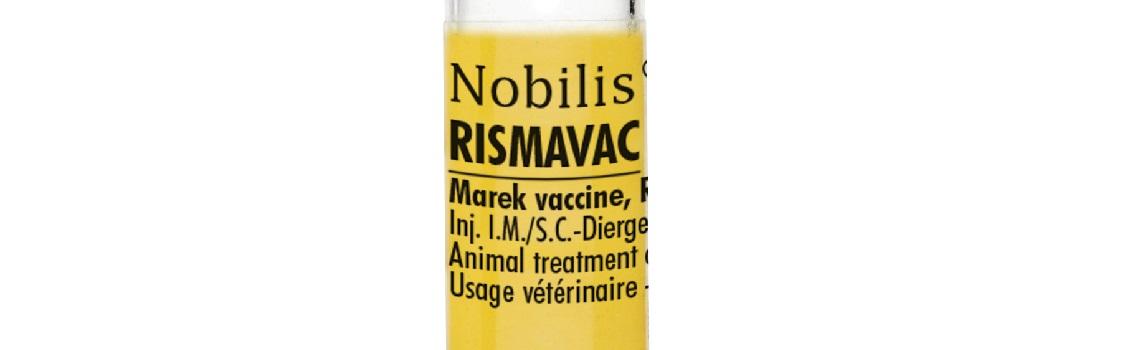 Nobilis® Rismavac vials from MSD Animal Health
