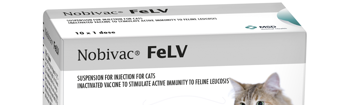 Zoomed in image of Nobivac FeLV carboard carton