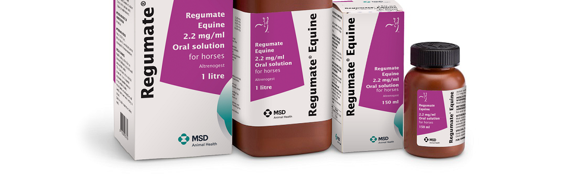 Image of Regumate Equine bottle next to it's cardboard carton