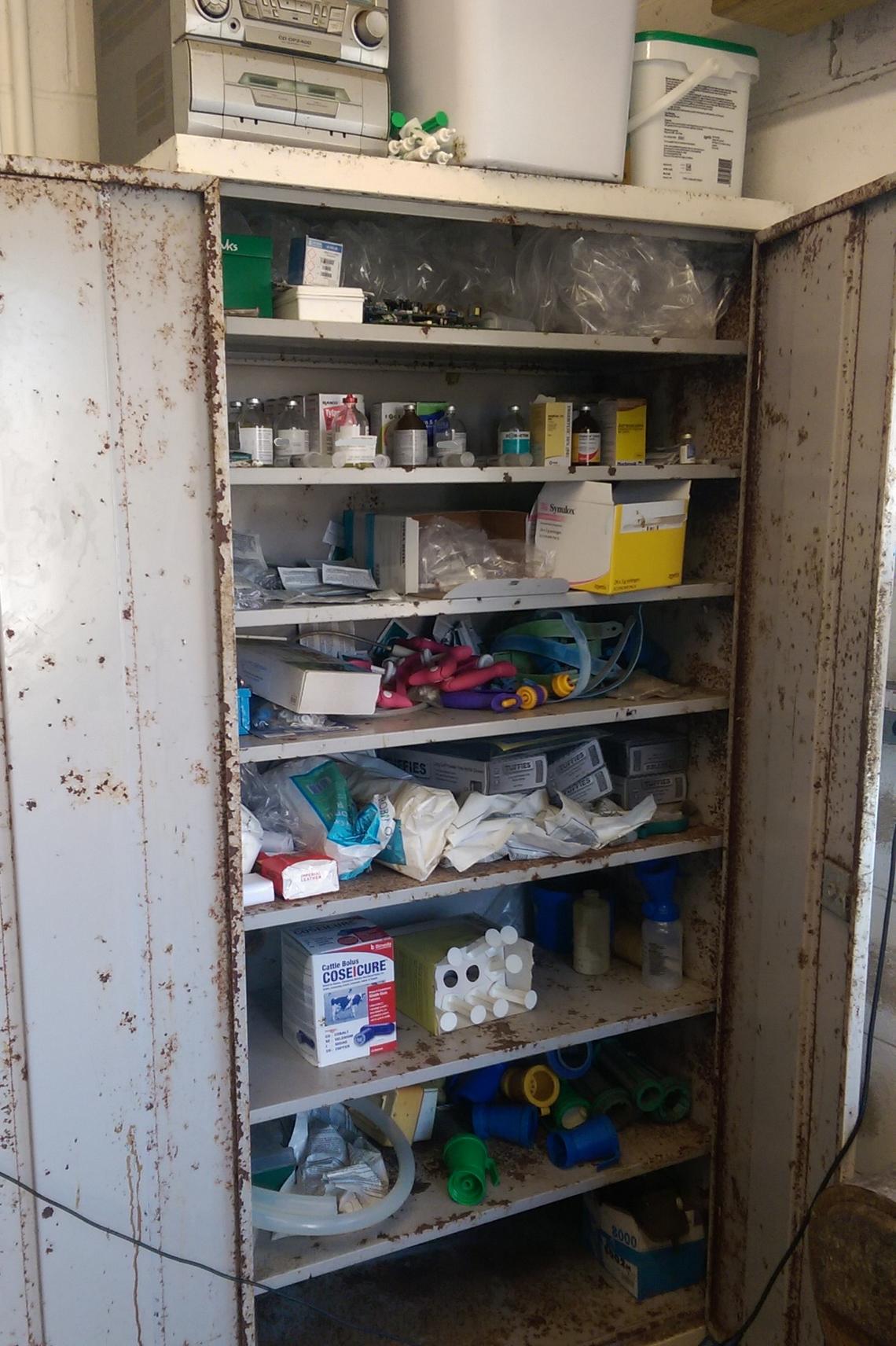 74 Percent Of Dairy Farmers Are Storing Expired Medicine On Farms Msd Animal Health Hub