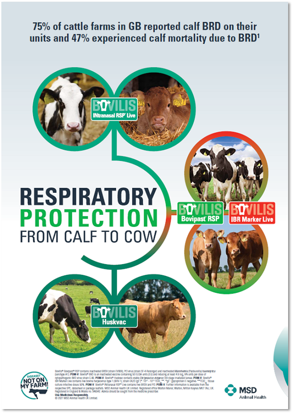 The MSD Animal Health Respiratory Programme MSD Animal Health HUB