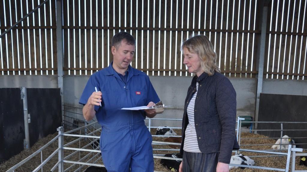 Five steps to better calf health MSD Animal Health HUB