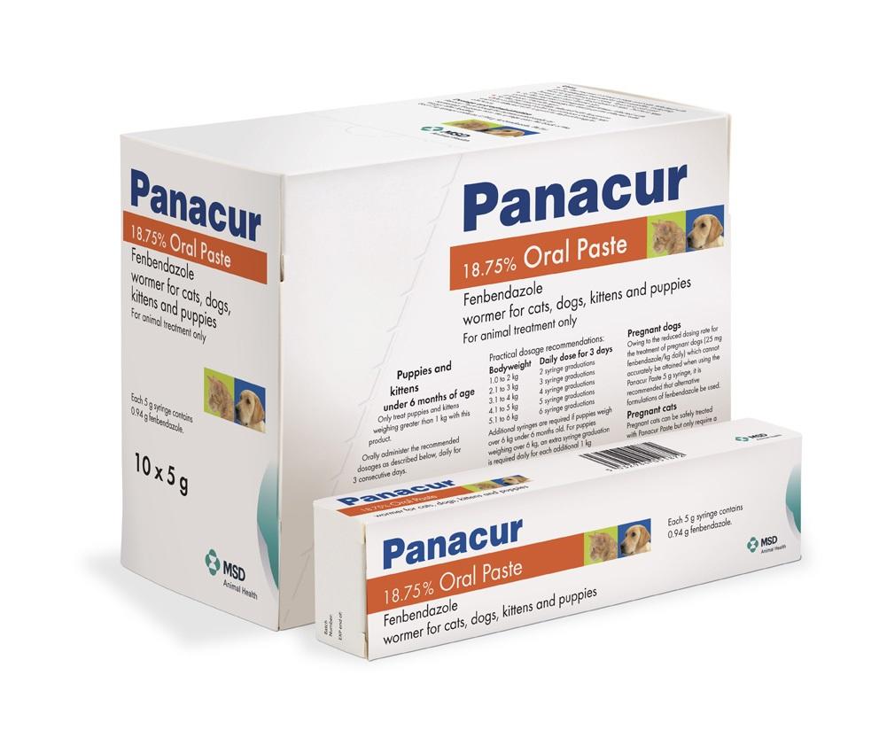 Msd Animal Health Hub Panacur 18 75 Oral Paste