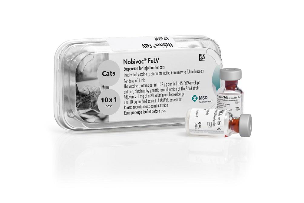 nobivac feline vaccines