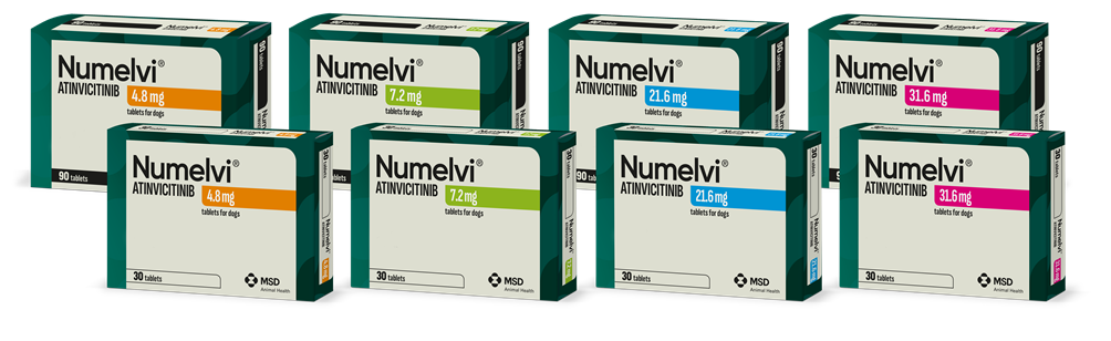 Numelvi® | MSD Animal Health HUB