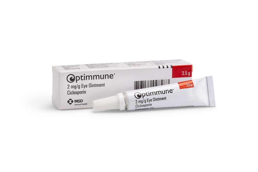 optimmune ointment for dogs