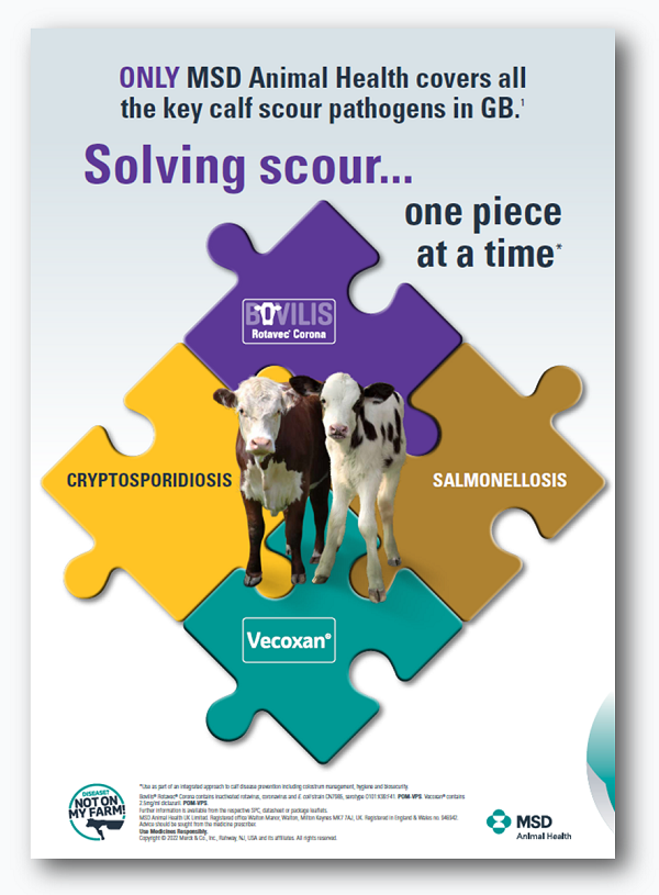 The MSD Animal Health Enteric Programme for RAMA MSD Animal Health HUB