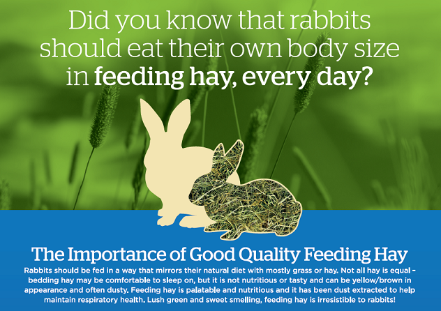 Client Support - Nutrition | MSD Animal Health HUB