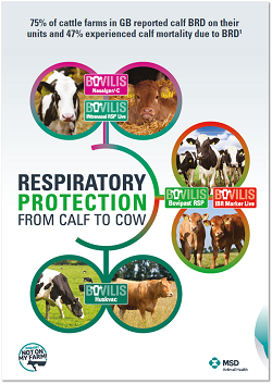 MSD Animal Health Respiratory range for cattle brochure