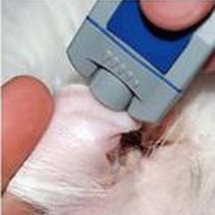 Caninsulin pet diabetes management glucometer