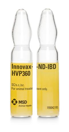 Image of Innovax ND-IBD glass ampoules from MSD Animal Health