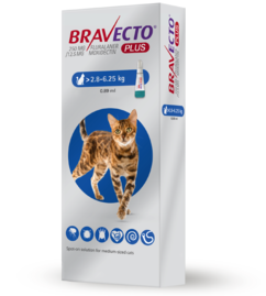bravecto cat ad
