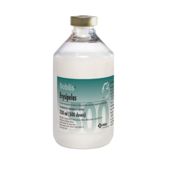 Nobilis Gumboro 228E vial next to it's cardboard carton