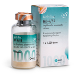 Image of Nobilis MG 685®  bottle next to it's cardboard carton