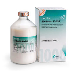 Image of Nobilis RT+IBmulti+ND+EDS bottle next to it's cardboard carton