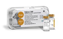 Image of Nobivac DHP vials next to its plastic tray showing product name