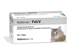 Image of Nobivac FeLV cardboard carton showing product name
