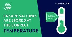 Vaccines should be kept refrigerated at 2-8°C