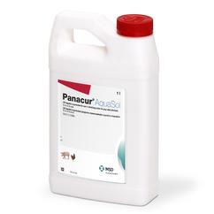 Image of Panacur Aquasol carton from MSD Animal Health