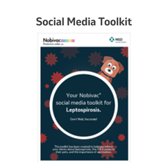 Social media toolkit.