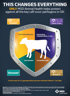 MSD Animal Health Enteric range brochure.