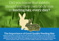 Image of an illustration showing the importance of hay feeding rabbits