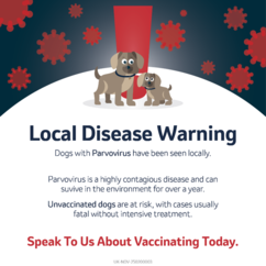 Disease outbreak - social media posts.