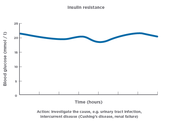 Insulin Resistance