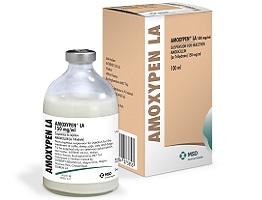 Dog products | MSD Animal Health HUB