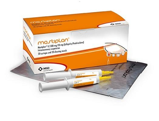 Image of Mastiplan LC syringe next to its cardboard carton