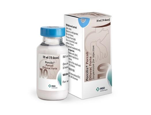 image of Porcilis Porcoli Diluvac Forte bottle next to it's cardboard carton