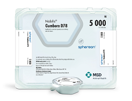 Nobilis Gumboro D78 live sphereon