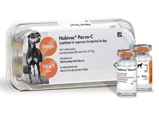 Nobivac Parvo-C vials next to it's plastic tray