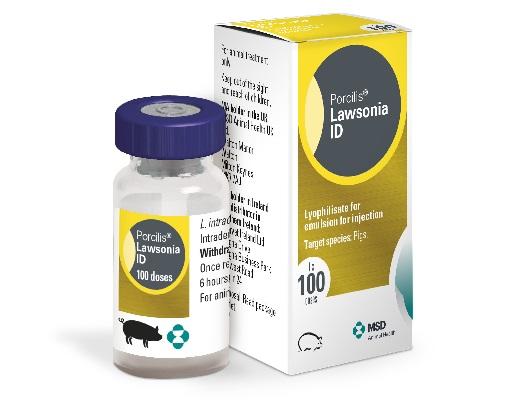 Porcilis Lawsonia ID