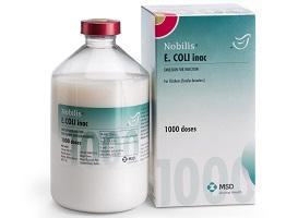 Nobilis E.Coli inac bottle and vial next to cardboard carton
