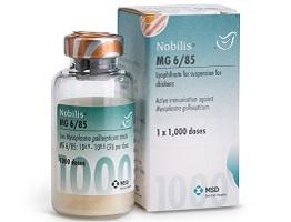 Nobilis MG 685 bottle next to cardboard carton