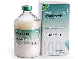 Nobilis RT IB multi G ND bottle next to cardboard carton